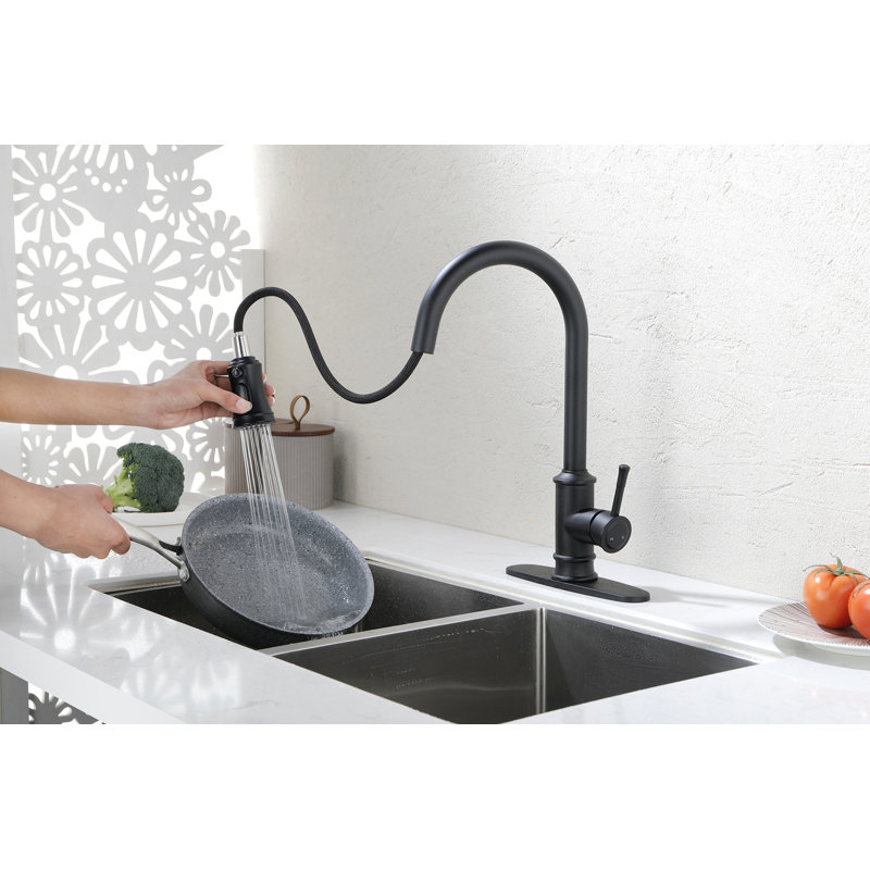 Kitchen Faucet With Pull Out Spraye