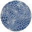 Machine Washable Indoor/Outdoor Colwart ACN919 Navy 8' x 10' Rug-109580847