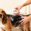 Brosse de bain en silicone pour animaux de compagnie avec distributeur de shampooing, 3,35 x 3,35 x 2,36 pouces, rose-131214752
