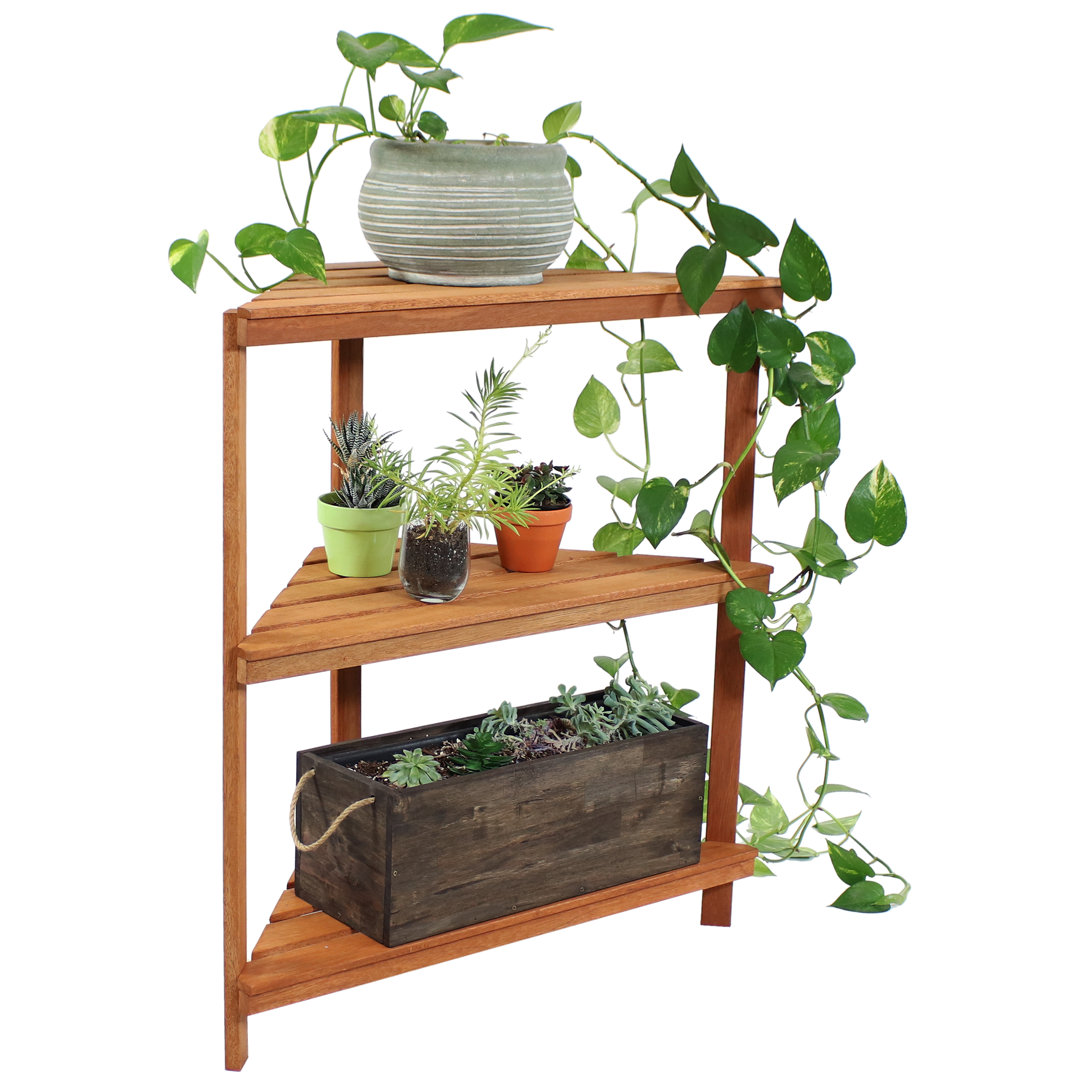 Turrella Plant Stand Red Barrel Studio®
