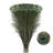 Natural 23-28'' Long Peacock Feathers (40-pack)
