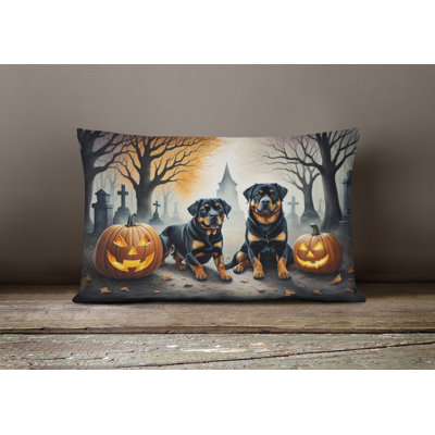 Other/No Pattern Outdoor Throw Pillow
