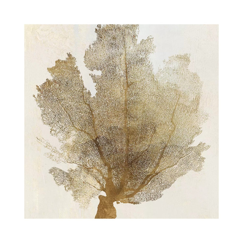 Gold Coral I by PI Galerie - Wrapped Canvas Gallery-Wrapped Canvas Giclée, 46cm H x 46cm W