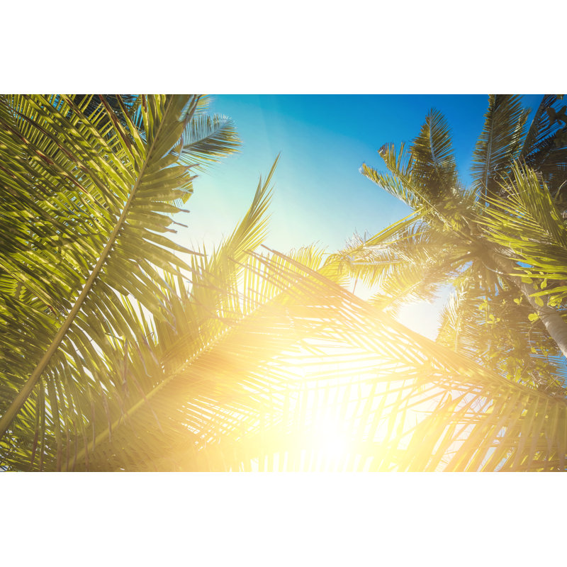 Feuilles de palmier tropicales par vggans, H 32 po x l 48 po