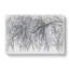 Tree In The Winter Vol.3 Sketch - Wrapped Canvas Print-61883260