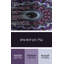 Laine tissée à la machine de style oriental et polyester mauve/bleu Tapis décoratif-2107999610