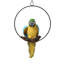 Statue de perroquet Polly au paradis-5821621