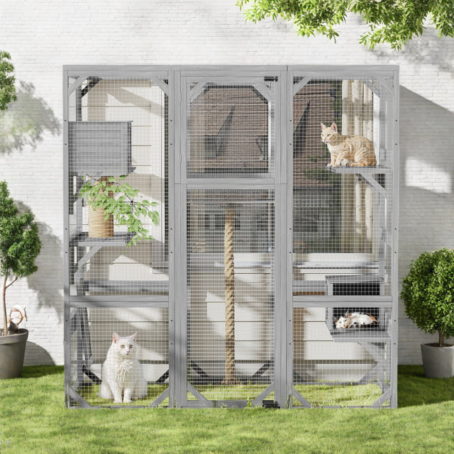 Outdoor cat cage enclosure with climbing rope and three cats inside