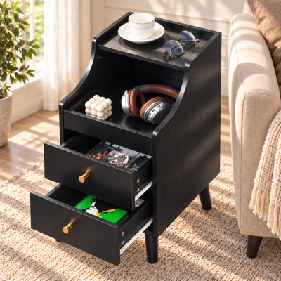 Analiesa 12"W Mid-Century Modern End Table, Side Table With Open Shelf, Narrow End Table, Wood Nightstand with 2 Drawers, Living Room End Tables & Side Tables