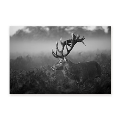 Nature Inspired Sunny Morning by  - Picture Frame Photograph on Paper