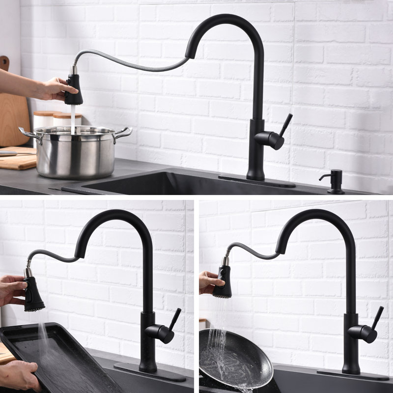 FLG Pull Out Kitchen Faucet