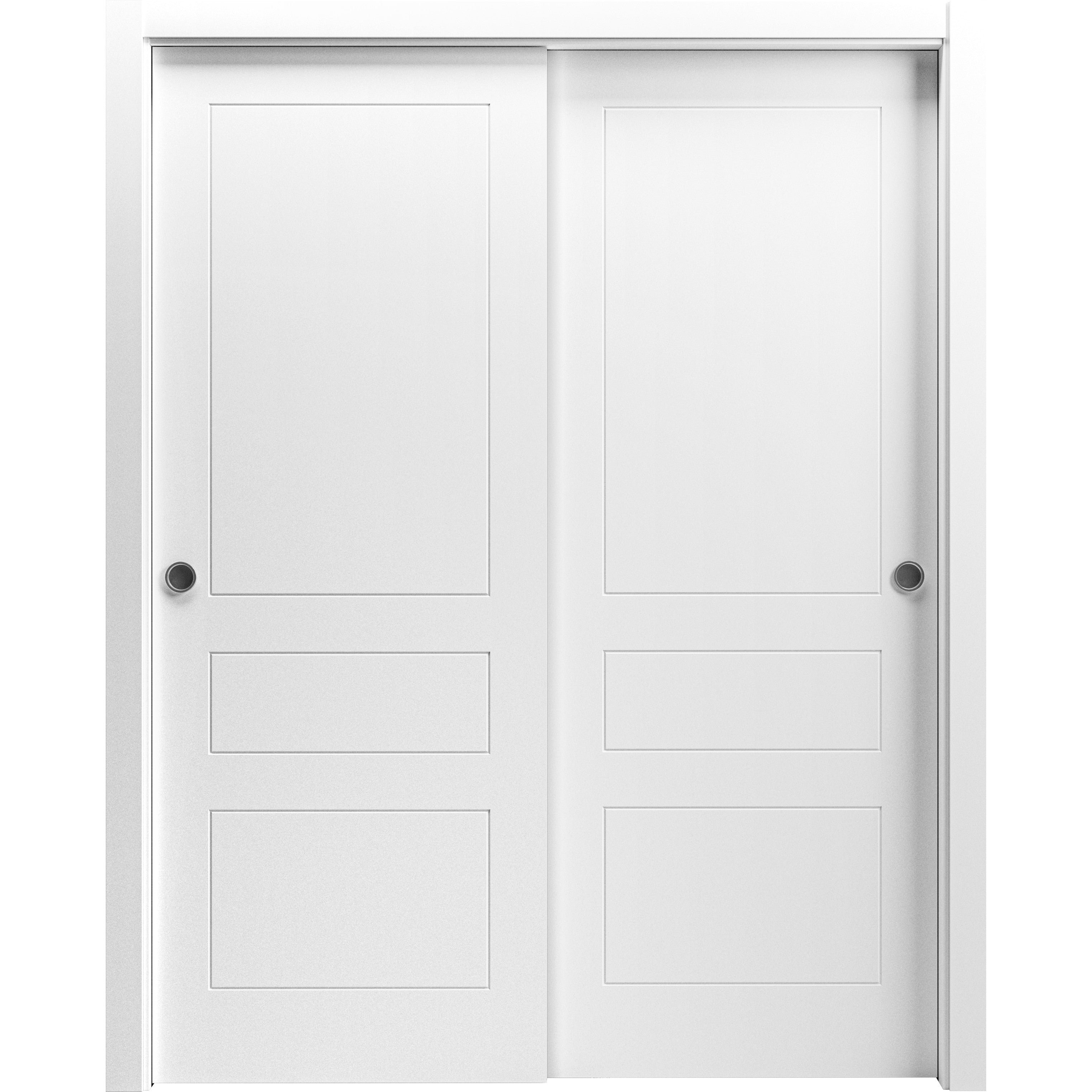 VDomDoors Solid Wood Paneled Sliding Closet Doors | Wayfair