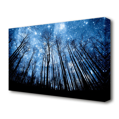 Starry Night In The Forest Forest - Wrapped Canvas Print
