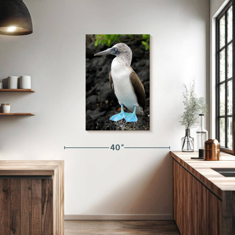 Brampt Blue-Footed Booby Birds, 36" H x 24" W