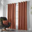Nalaiyah Velvet Chenille Eyelet Curtains-1315062715-1315062718