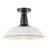 Camila 14" 1-Light Classic Industrial Indoor/Outdoor Iron LED Semi Flush Mount-767851259