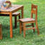 Ensemble de 2 chaises d'extérieur Acadia