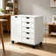 78 cm W 5 -Drawer Filing Cabinet-135785128
