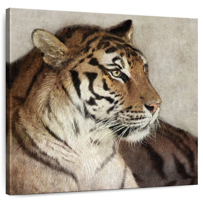 Tigre de Brampt, H 10 po x l 10 po