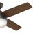 Dempsey 44" 4 - Blade Standard Ceiling Fan with Lights and Remote-56213875