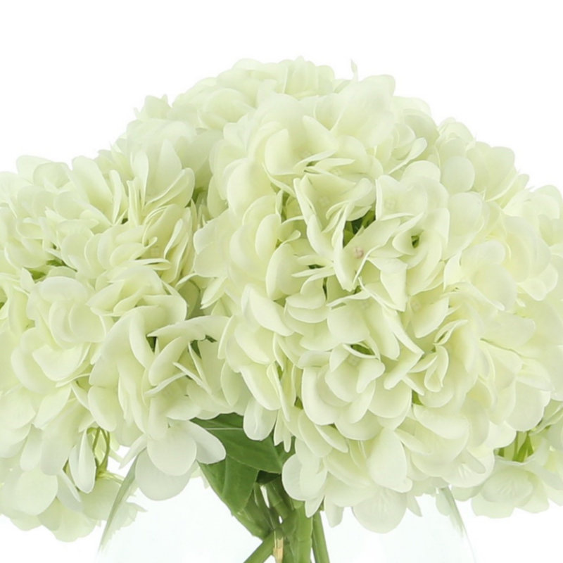 Hydrangea Bouquet In Vase, White
