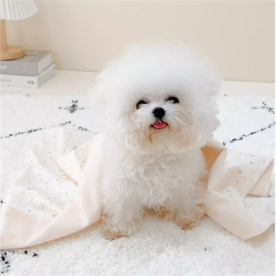 Couverture pour chien
