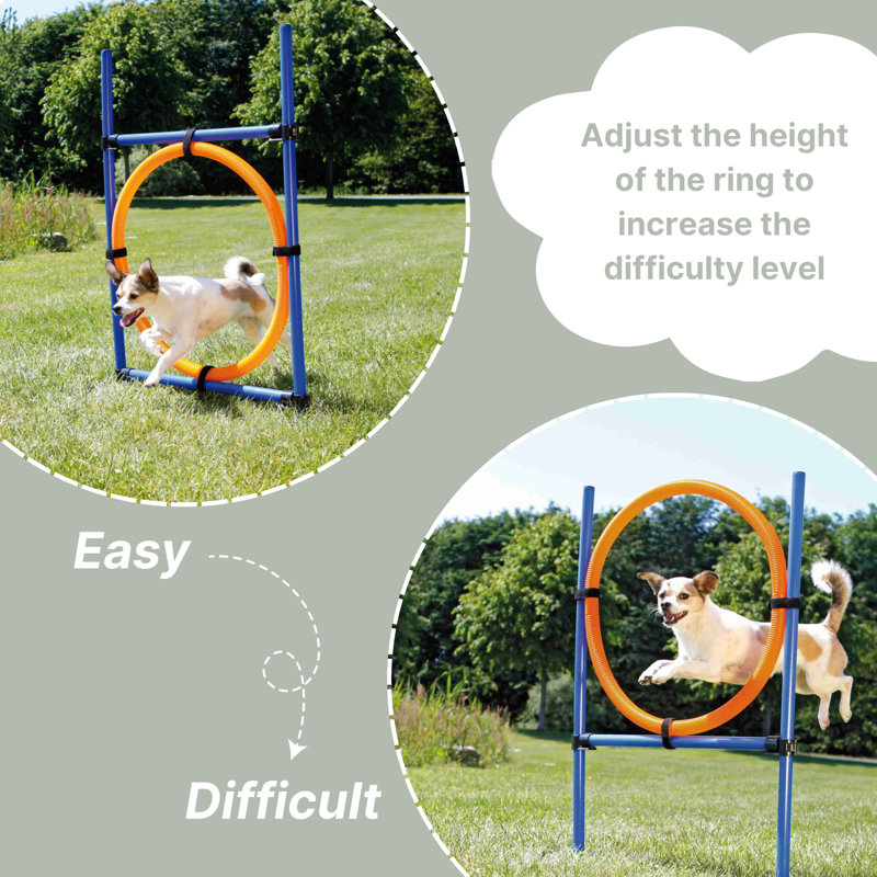 Adjustable Blue and Orange Dog Agility Training Ring