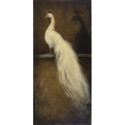 White Peacock 2 Print