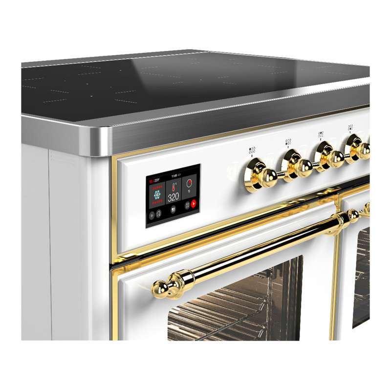 Majestic III Series 40 Inch Induction Range with 6 Induction Elements in Stainless Steel (Brass Trim), White, Brass