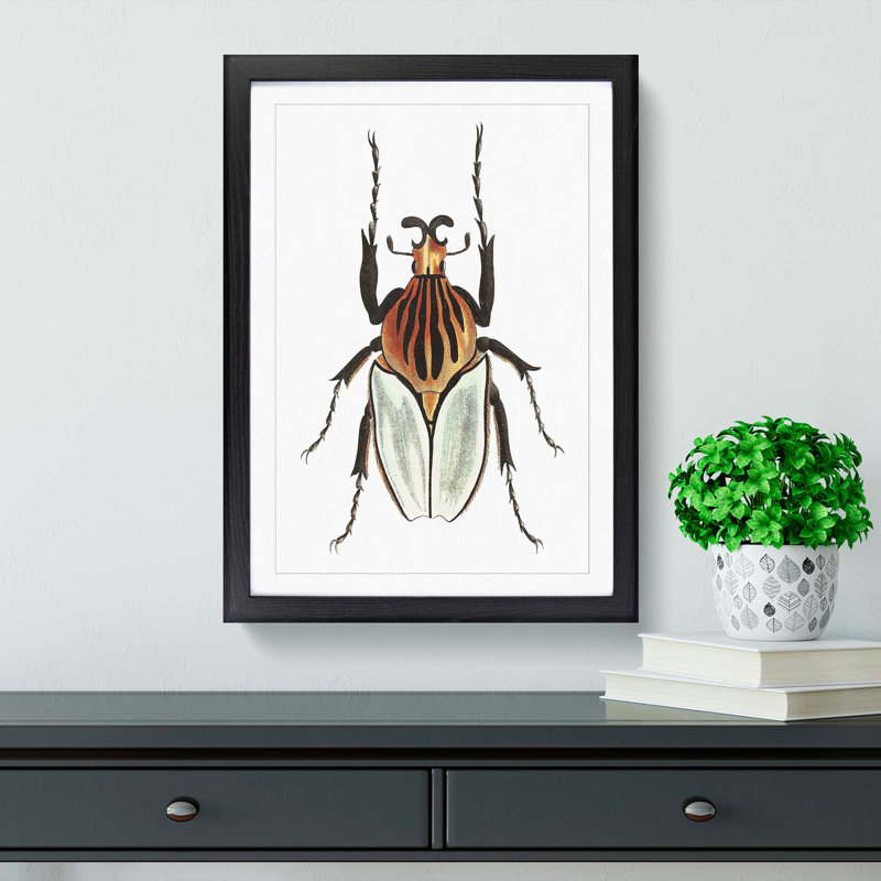 Cacique Beetle by George Shaw - Framed Print, Black Framed, 48cm H x 36cm W x 2cm D