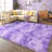 Super Soft Tie-Dyed StarPurple Rug 4x6 ft, Oversized Living Room Rug, Thick Pile Rug, Fluffy Tufted Room Rug For Room Bedroom Large Cozy Fuzzy Rug Room Home Decor Aesthetic Soft Non Slip Rug Decor Aesthetic, Christmas Decor, Halloween Decor-1444655738