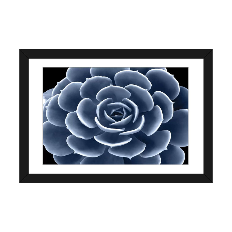 «Succulent IV», impression sur toile, H 16 po x l 24 po x P 1 po, Cadre noir