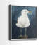 «Night Gull I», reproduction encadrée de qualité supérieure - prête à être accrochée - aucun clou requis - aucun clou requis-1853487432-1853487487