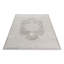 Oriental Area Rug-78618842
