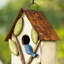 Maison d'oiseaux de jardin d'extérieur en bois massif avec arbre 3D Strader-51899622