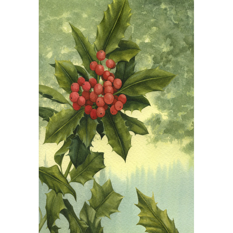 Tashuna Holly Berries I by Grace Popp - Wrapped Canvas Print, 46 cm H x 30 cm W