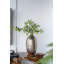  Vase en aluminium avec des rayures dorées, parfait pour un décor moderne et élégant-1210970566