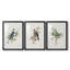 «Spring Song Blue Bird» - ensemble de photos encadrées-384428558-384428552
