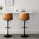 Halima Swivel Upholstered Adjustable Height Counter Stool with Metal Frame