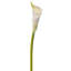 Mousse de lis de Calla 27 po -1098011051