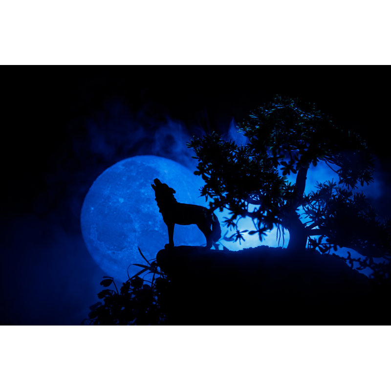 Howling Wolf - Photographie sur toile tendue, H 8 po x l 12 po