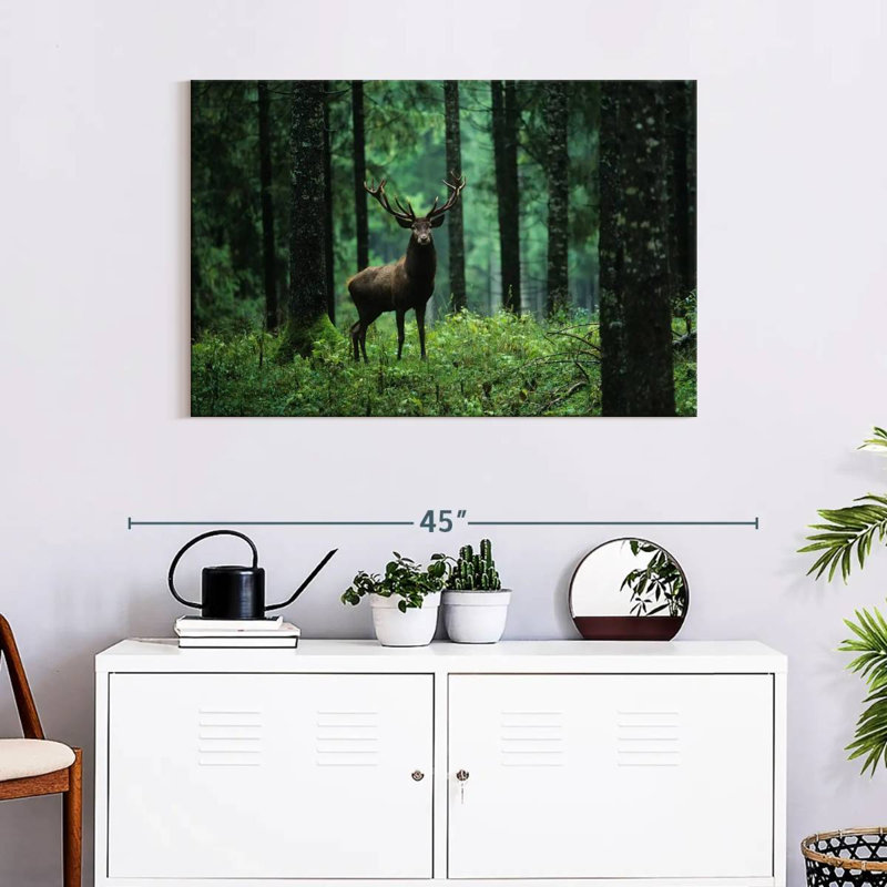 Brampt Elk In Forest, 24'' H x 36'' W