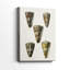 Collection Cone Shell V - Cavas enveloppés de galerie-1725046062