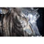 Animals Wall Decor