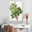 Keiri Carob Tree-108383669