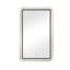 Golden Wall - Mounted Rectangle Medicine Mirror With Storage, Lighting, 2 Removable Tempered Glass Shelves, 3 Colour Options, Magnetic Closure Modern Lights, Led, Door-118930206-118930203
