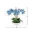 Orchids Arranged in Fiberstone Planter-1808265652