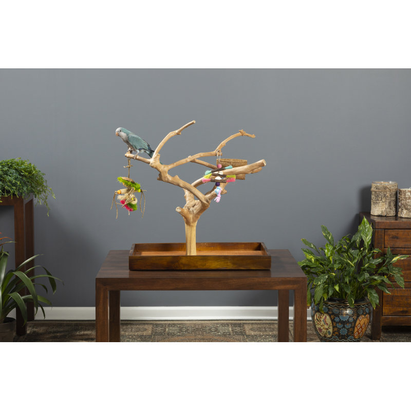 Freeport One-of-a-Kind 22.5'' Wood Bird Play Stand for Table Top