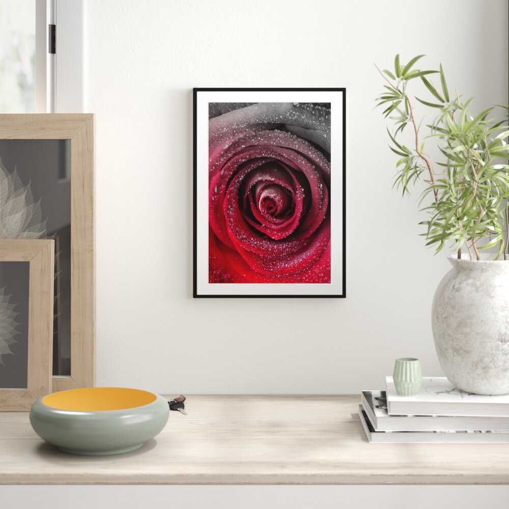 Gerahmter Fotodruck Red Tender Rose Blossom