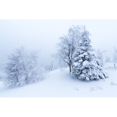 Winter Trees in Mountains by Verybigalex